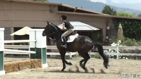 几种常见骑马姿势的图片对照